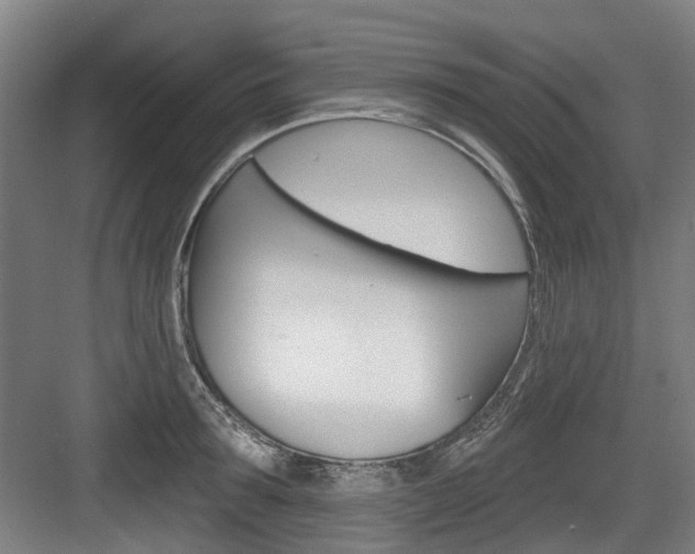 X0000083650899200702120833