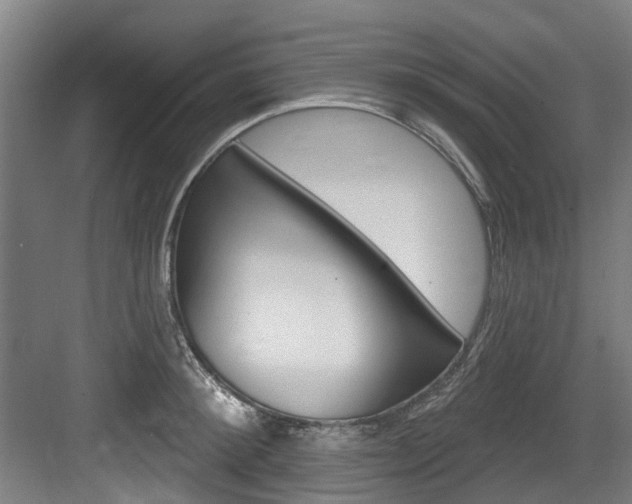 X0000083650900200702120833