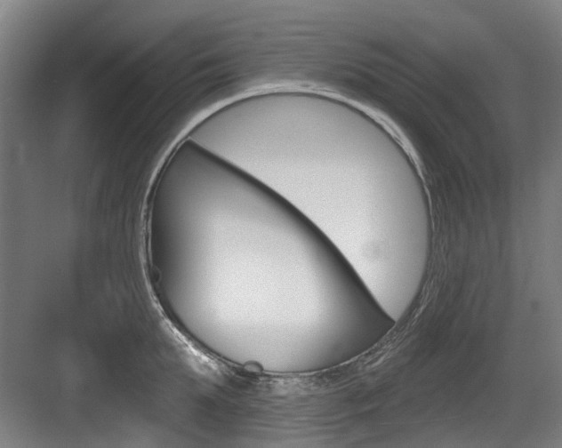 X0000083650903200702120833