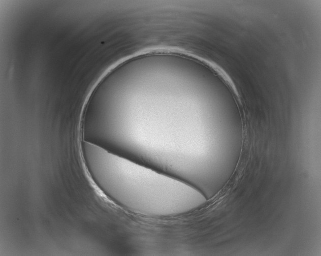 X0000083650911200702120833