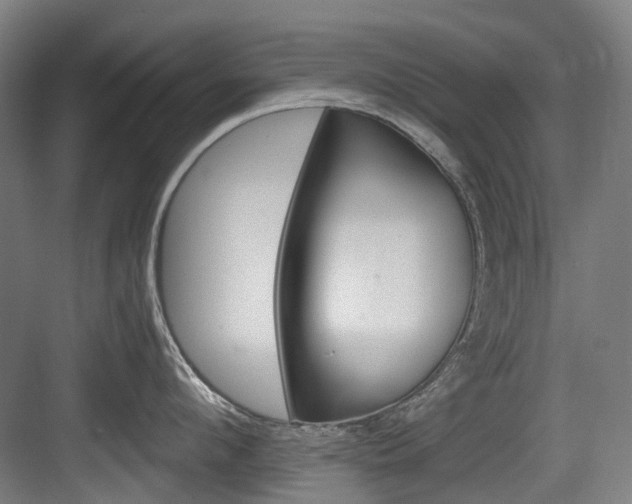 X0000083650912200702120833