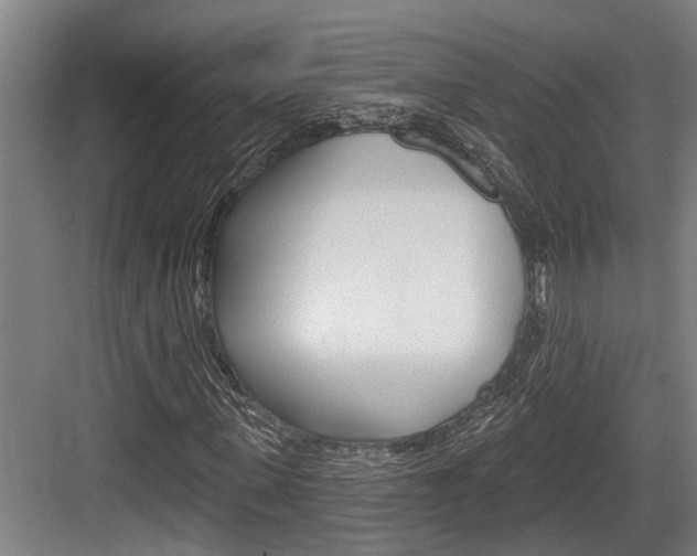 X0000083650915200702120832