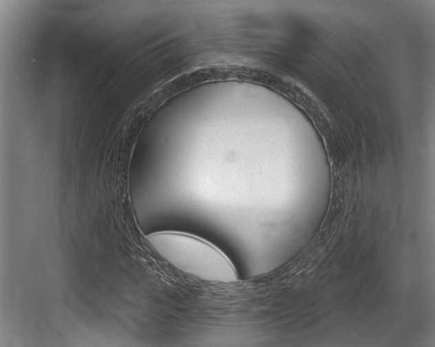 X0000083650919200702120832