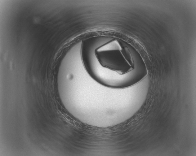 X0000083650920200702120832