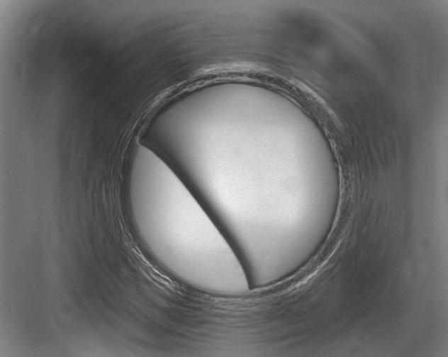 X0000083650921200702120832