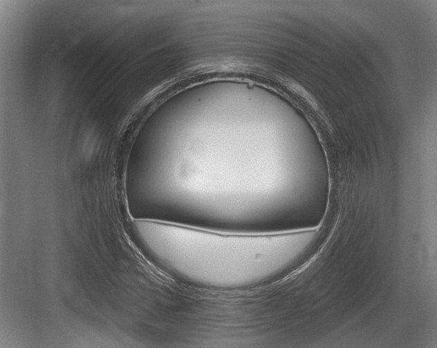 X0000083650922200702120832