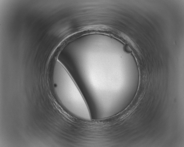 X0000083650923200702120832