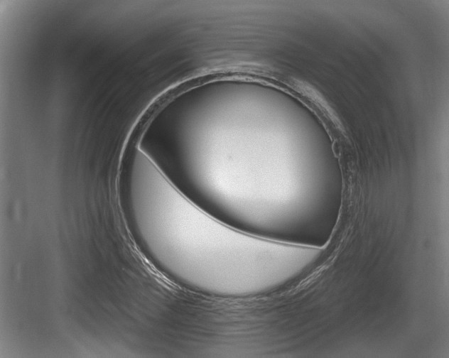 X0000083650924200702120832