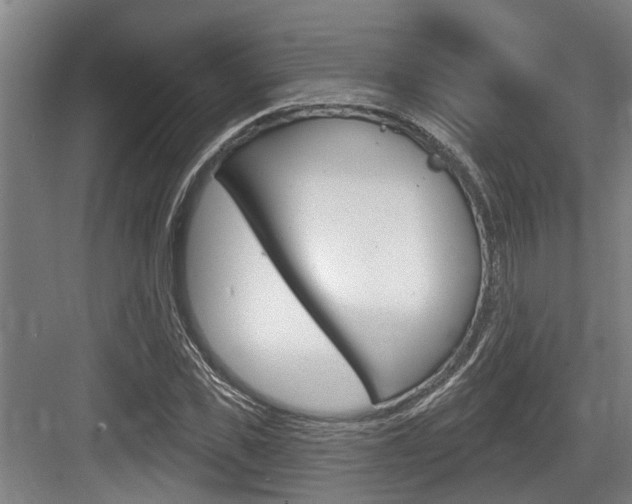 X0000083650925200702120832