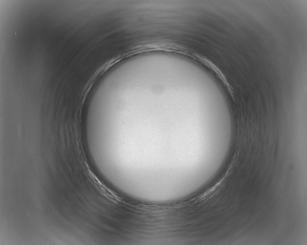 X0000083650930200702120832