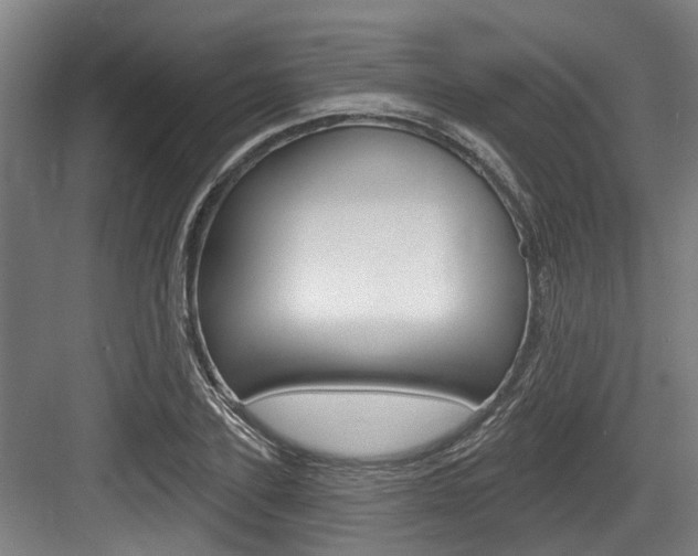X0000083650931200702120832
