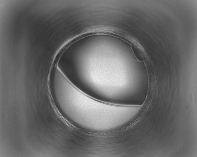 X0000083650936200702120832