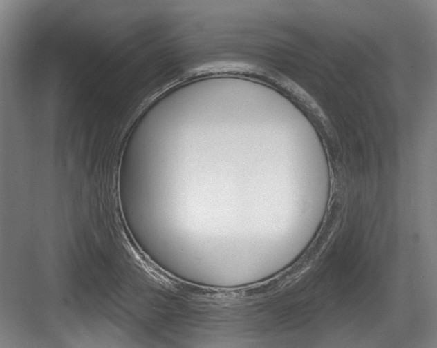X0000083650937200702120832