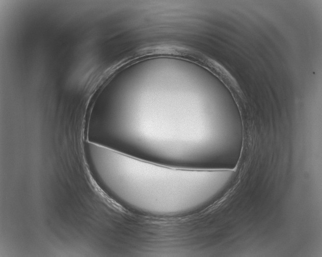 X0000083650938200702120832