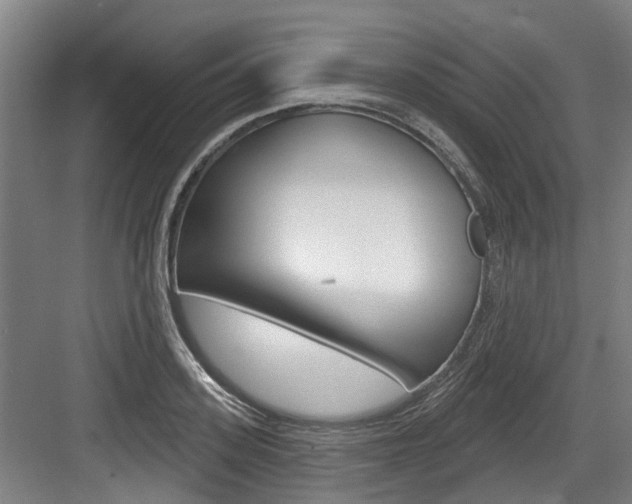 X0000083650939200702120832