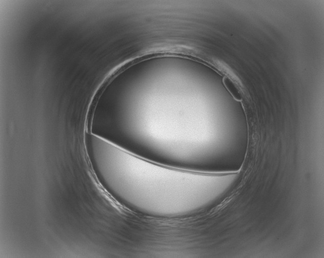 X0000083650940200702120832