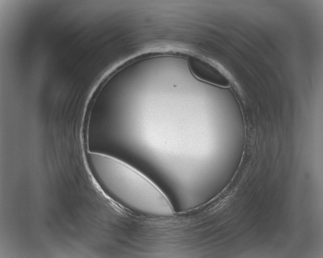 X0000083650943200702120833
