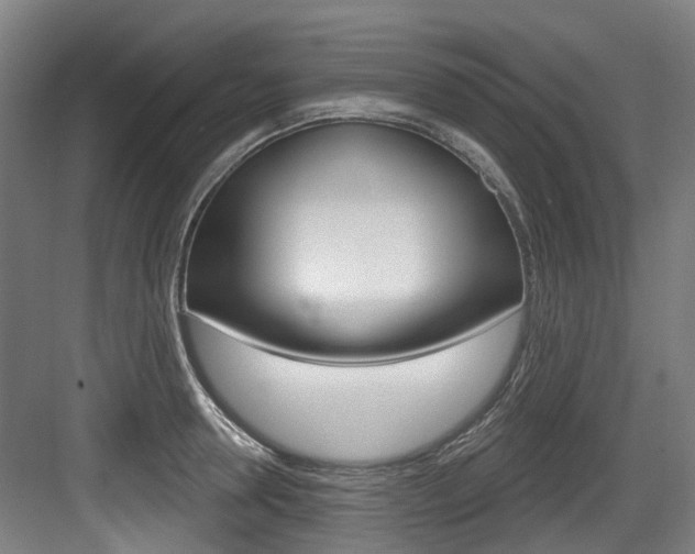 X0000083650946200702120833