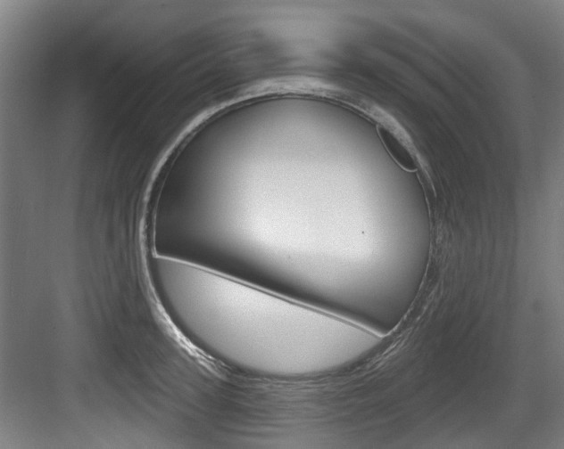 X0000083650947200702120833