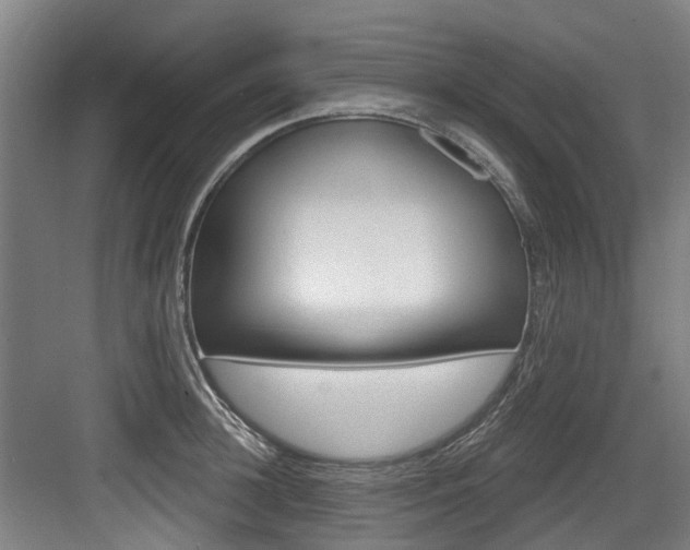 X0000083650948200702120833
