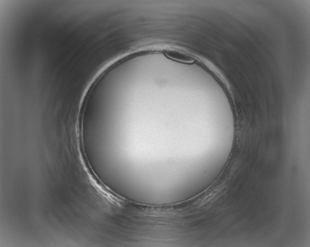 X0000083650951200702120833