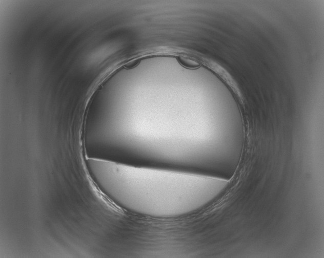 X0000083650954200702120833