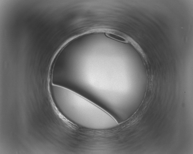 X0000083650955200702120833