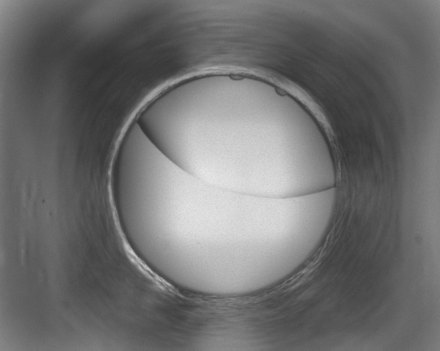 X0000083650958200702120833