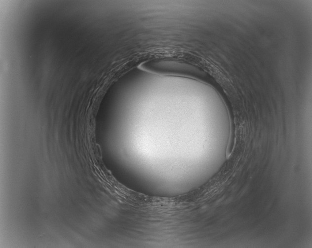 X0000083650961200702120832