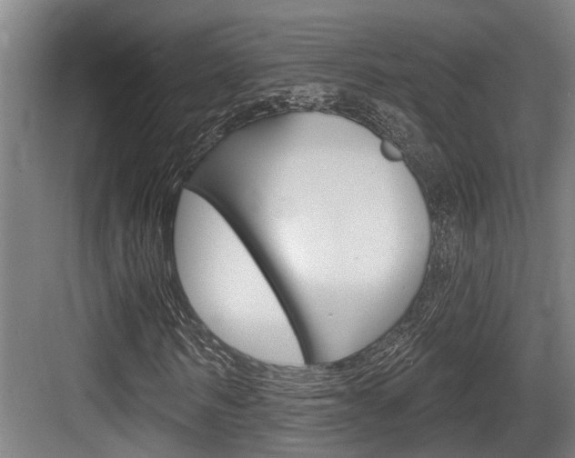 X0000083650962200702120832