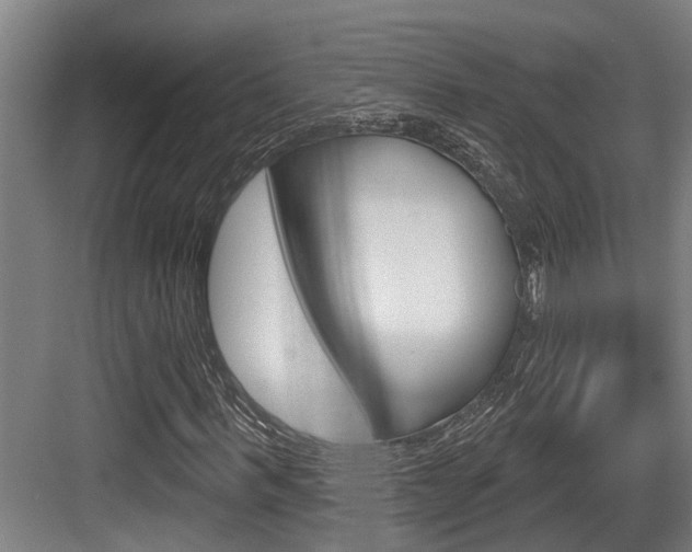 X0000083650963200702120832