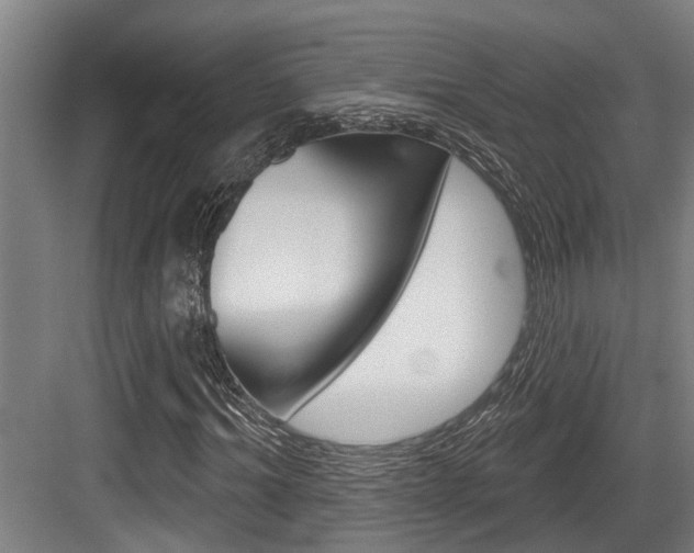 X0000083650964200702120832