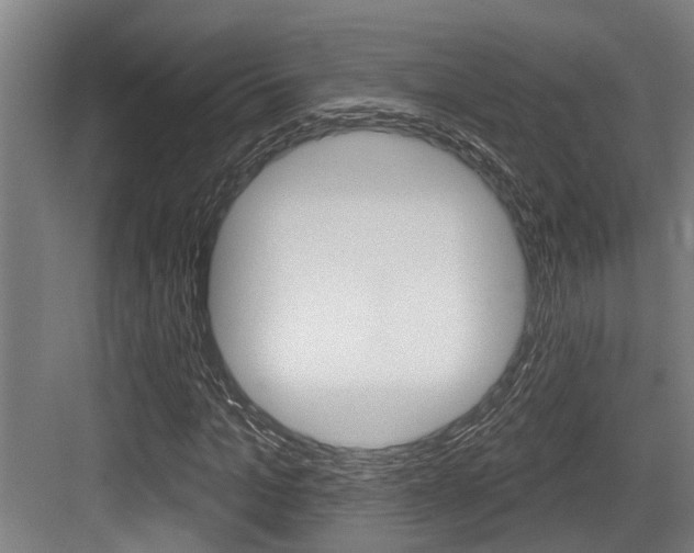 X0000083650965200702120832