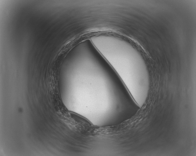 X0000083650967200702120832