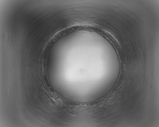 X0000083650968200702120832