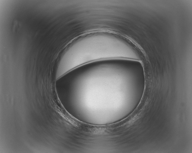 X0000083650969200702120832