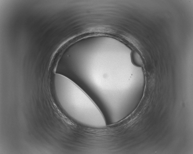 X0000083650971200702120832
