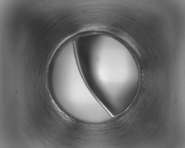 X0000083650972200702120832