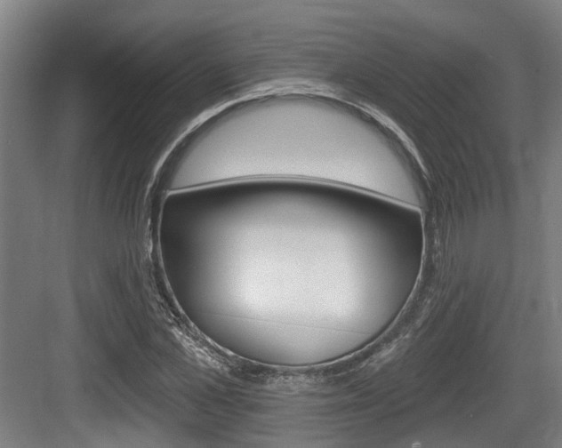 X0000083650973200702120832