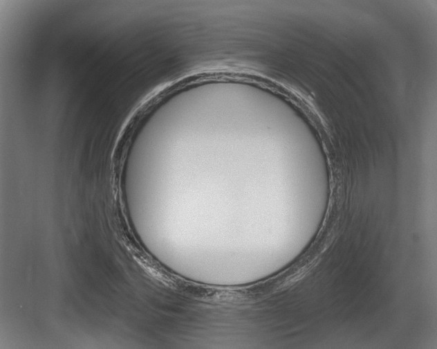 X0000083650974200702120832
