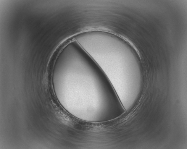 X0000083650975200702120832