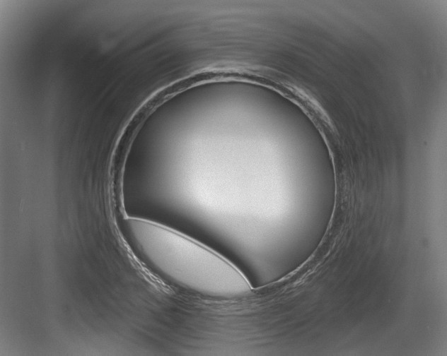 X0000083650976200702120832