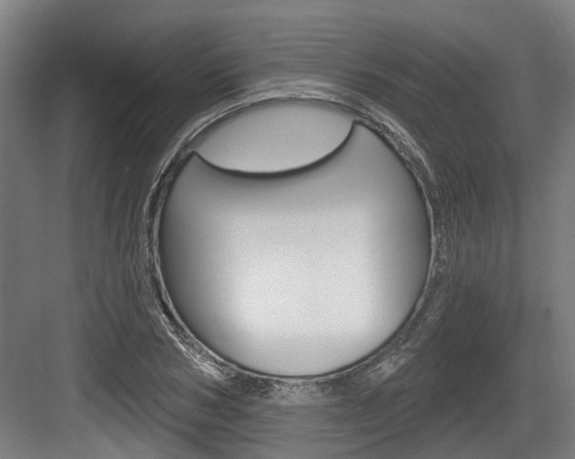 X0000083650978200702120832