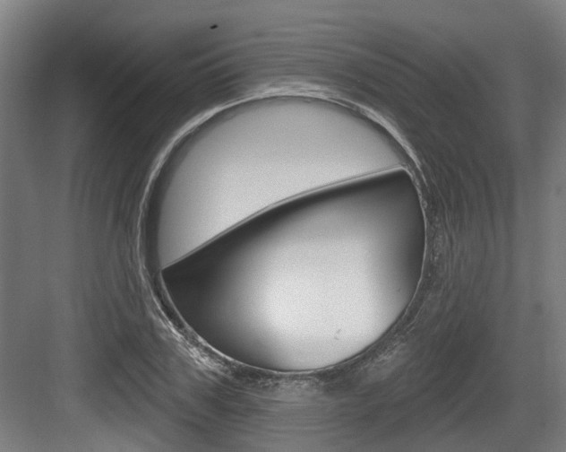 X0000083650979200702120832