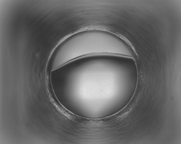 X0000083650981200702120832