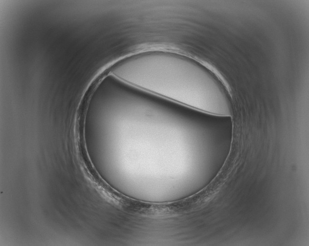 X0000083650983200702120832