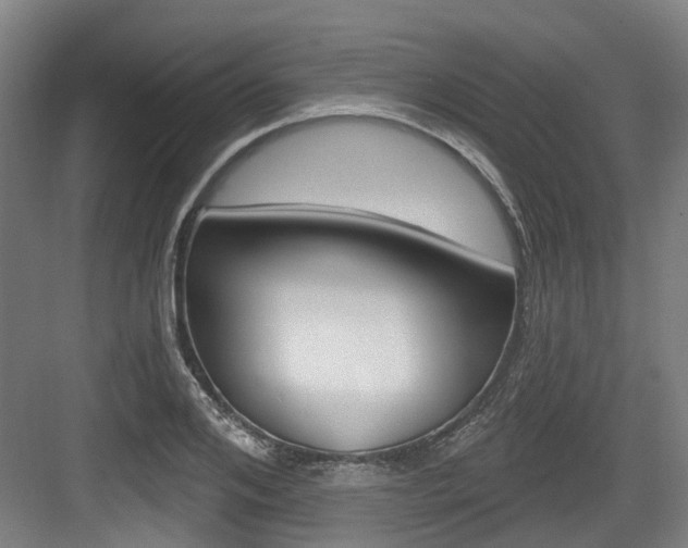 X0000083650984200702120832