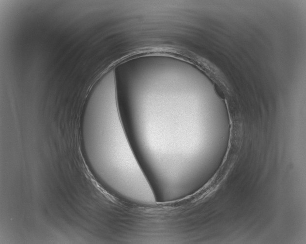 X0000083650985200702120832