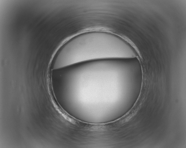 X0000083650989200702120832