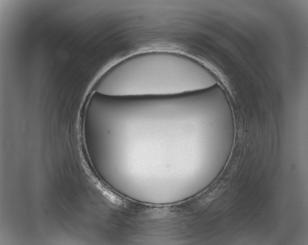 X0000083650990200702120832